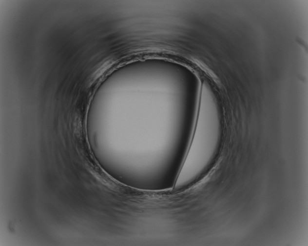 X0000095690969200801081035
