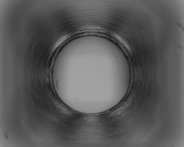 X0000095690970200801081035