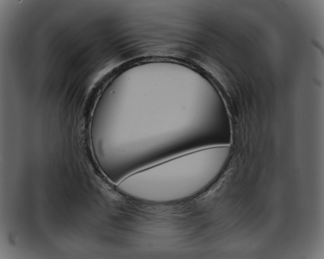 X0000095690971200801081035