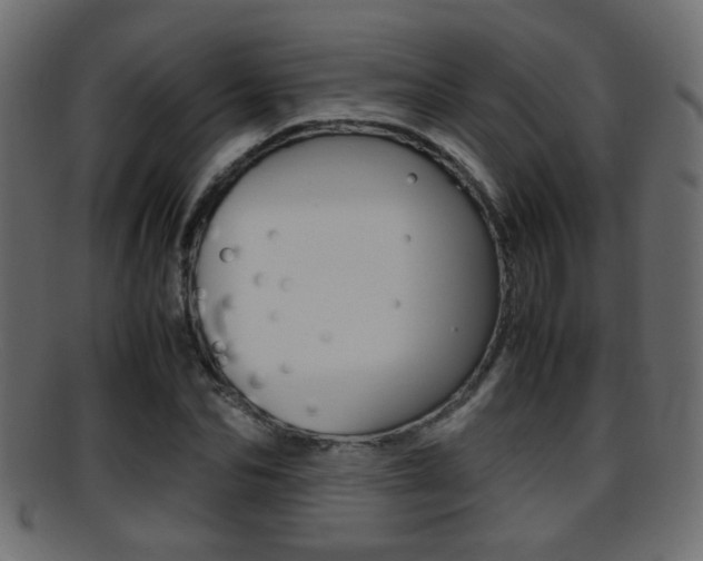 X0000095690974200801081035