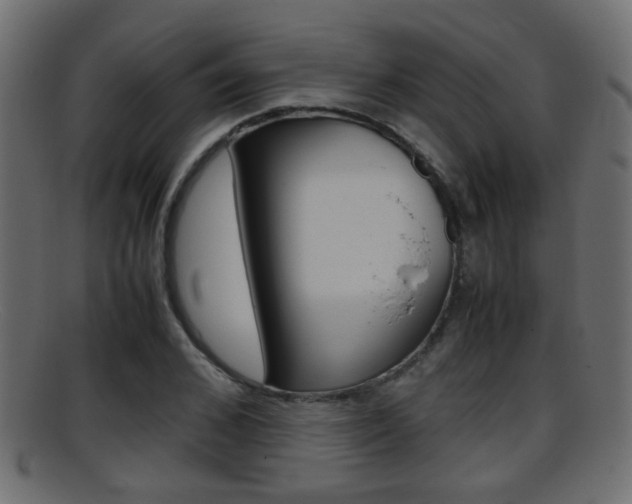 X0000095690976200801081035