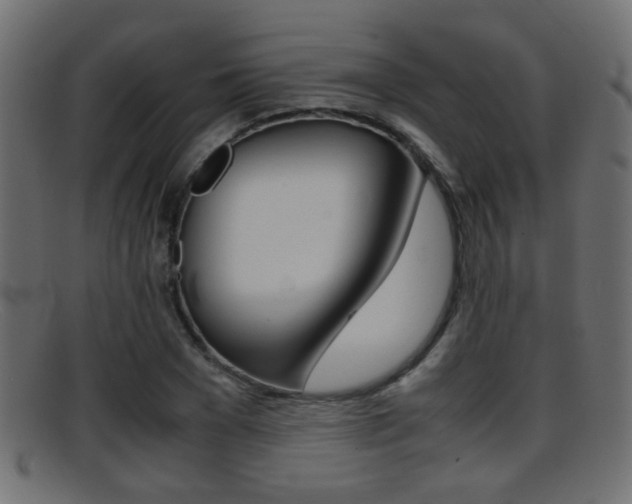 X0000095690977200801081035