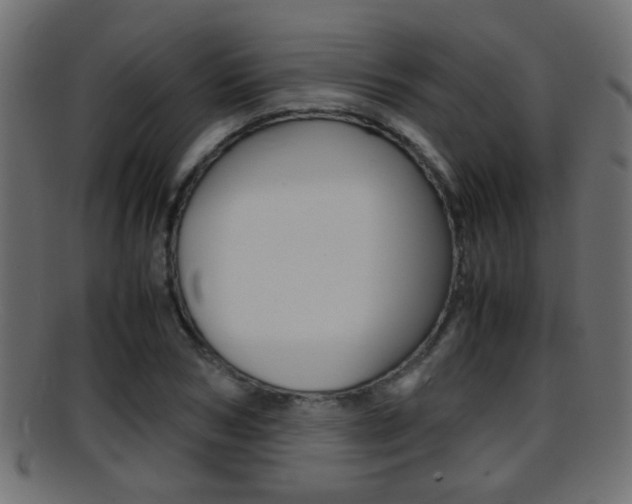 X0000095690978200801081035