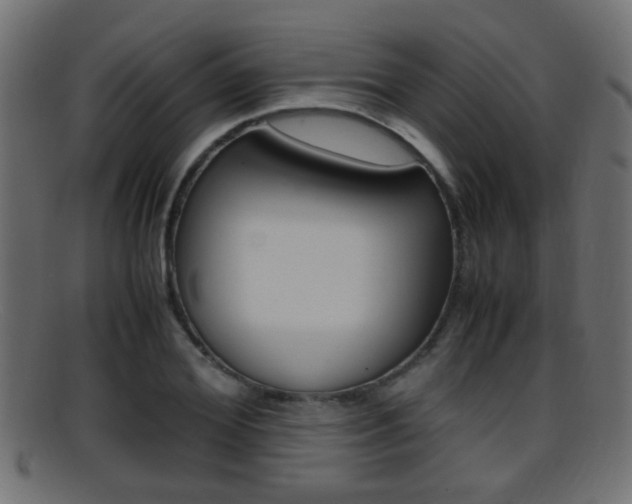 X0000095690980200801081035