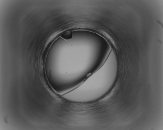 X0000095690981200801081035