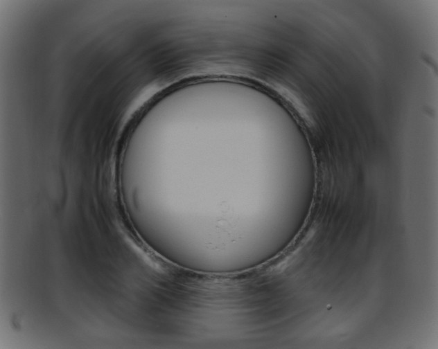 X0000095690982200801081035