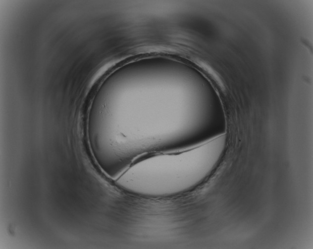 X0000095690983200801081035