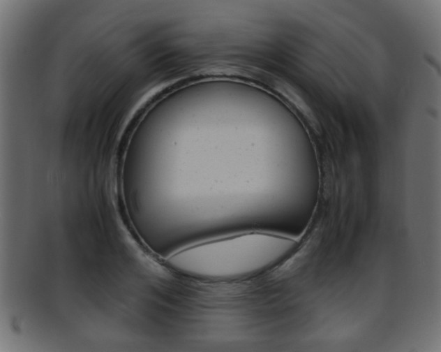 X0000095690984200801081035