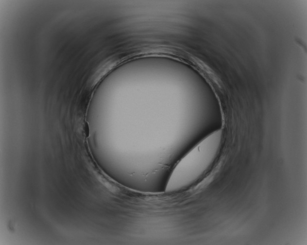 X0000095690985200801081035