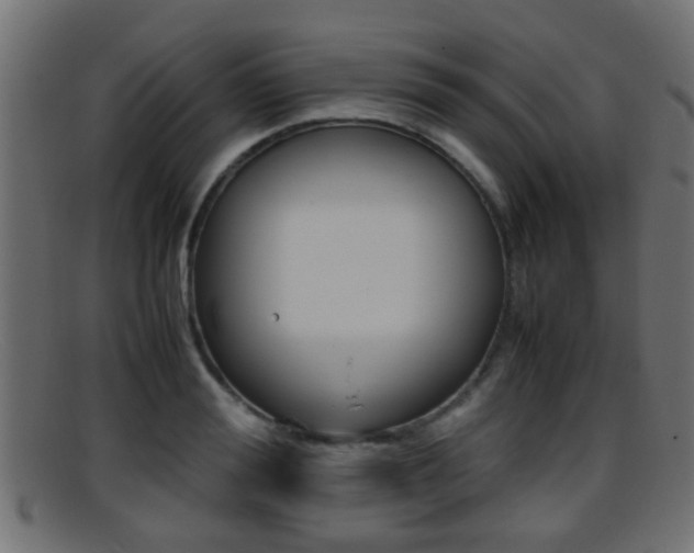 X0000095690988200801081035