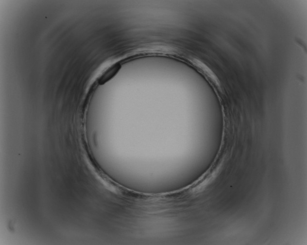 X0000095690989200801081035
