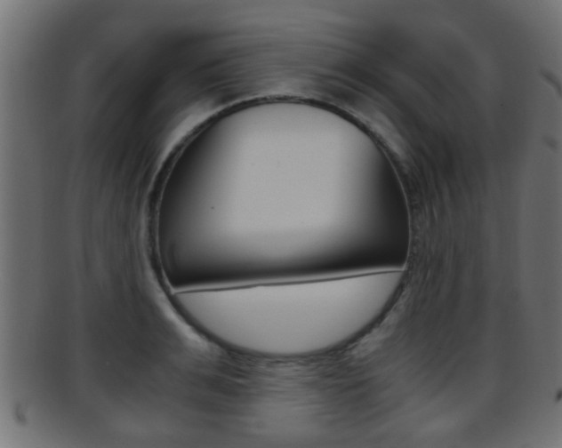 X0000095690991200801081035