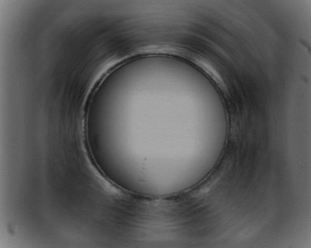 X0000095690992200801081035