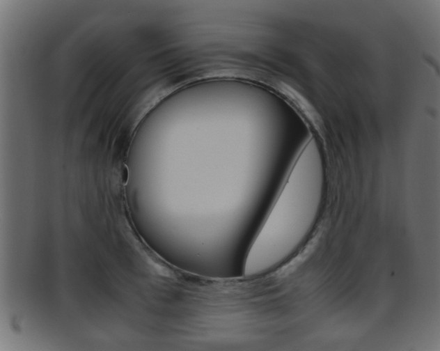 X0000095690993200801081035