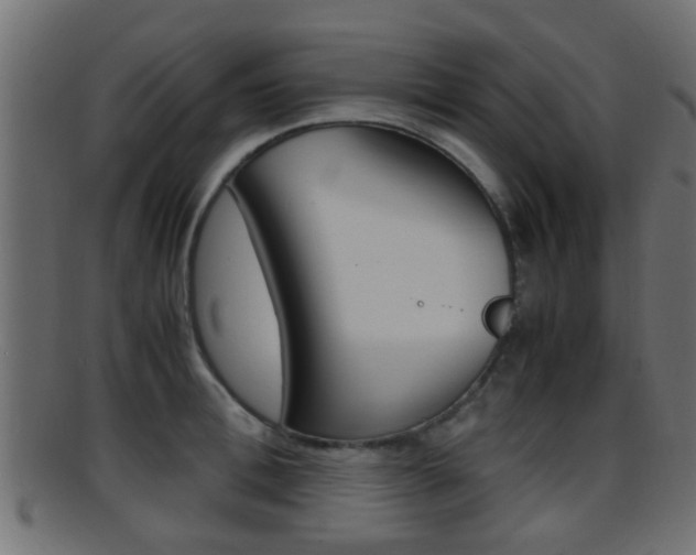 X0000095690996200801081035