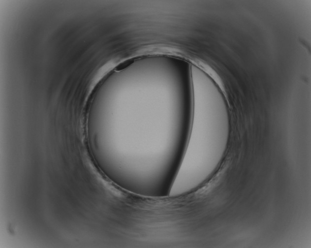 X0000095690997200801081035