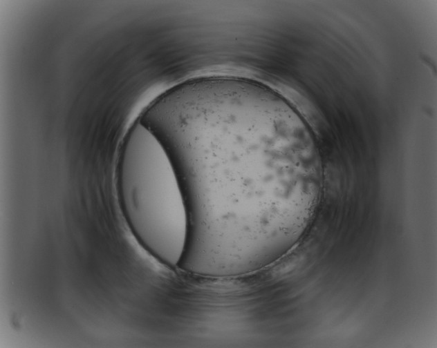 X0000095690998200801081035