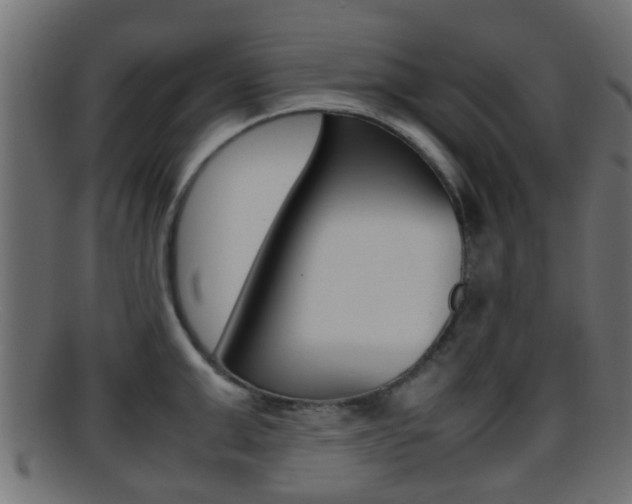 X0000095690999200801081035