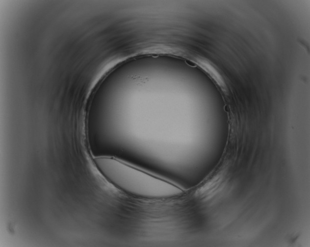 X0000095691000200801081035