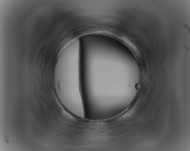 X0000095691001200801081035