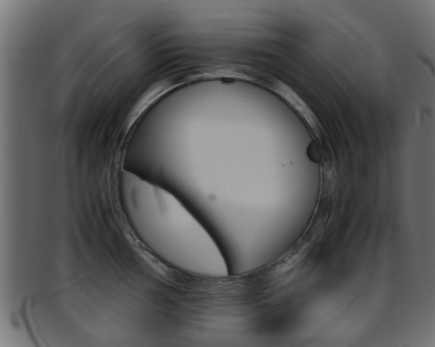 X0000095691002200801081035