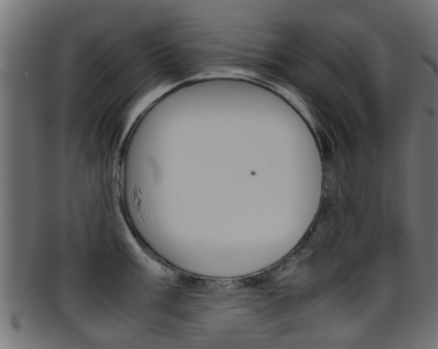 X0000095691003200801081035