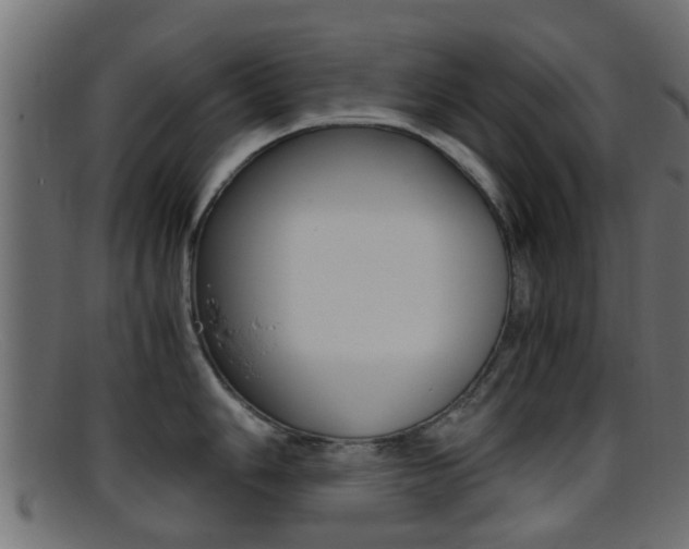 X0000095691006200801081035