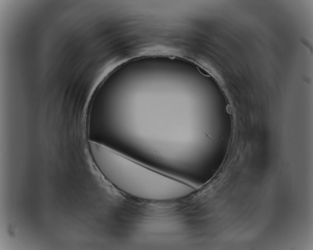 X0000095691008200801081035