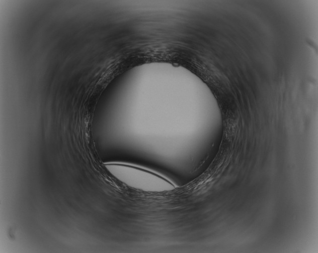 X0000095691010200801081034