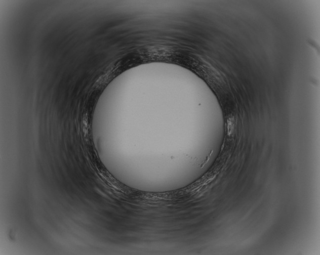 X0000095691011200801081034