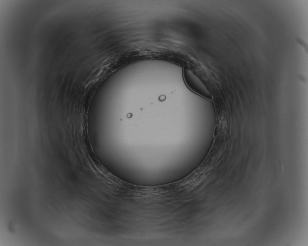 X0000095691012200801081034