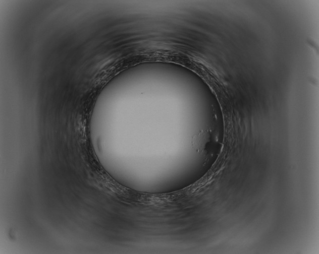 X0000095691013200801081034