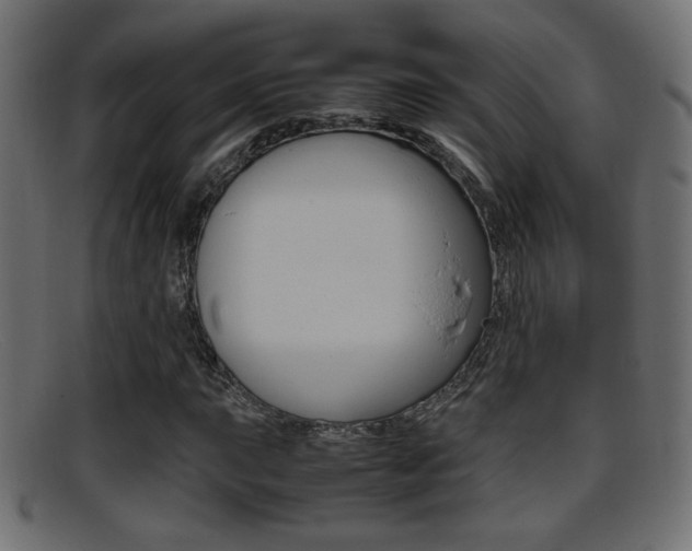 X0000095691015200801081034