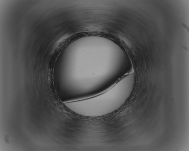 X0000095691016200801081034