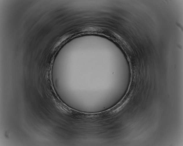 X0000095691017200801081034