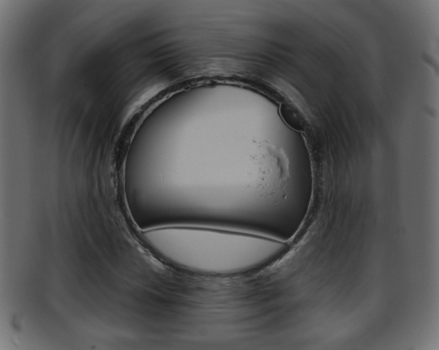 X0000095691018200801081034