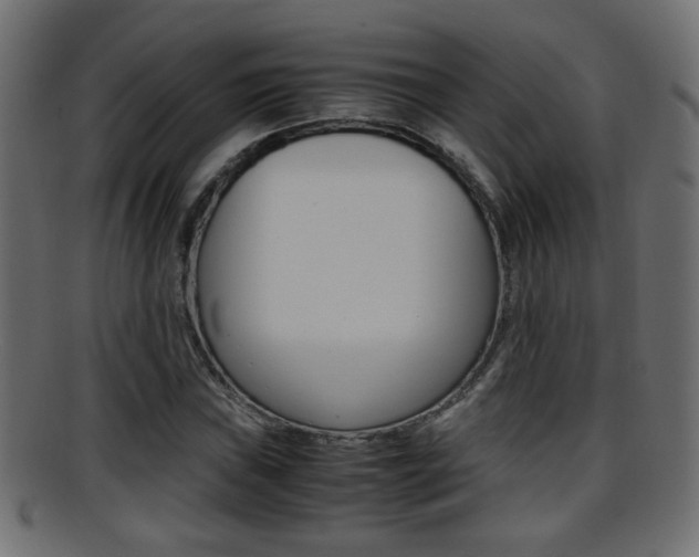 X0000095691019200801081034