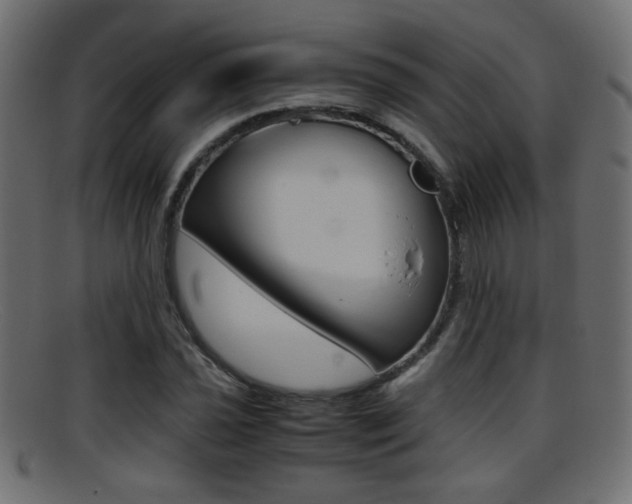 X0000095691021200801081034