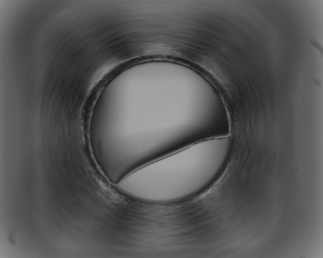 X0000095691022200801081034