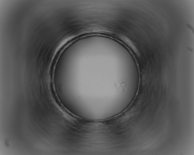 X0000095691024200801081034