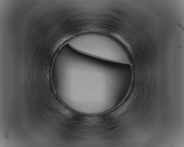 X0000095691025200801081034