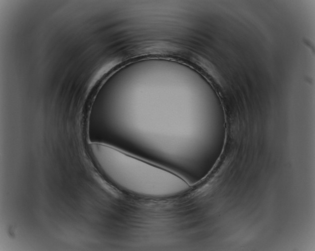 X0000095691026200801081034
