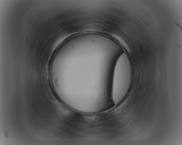 X0000095691031200801081034
