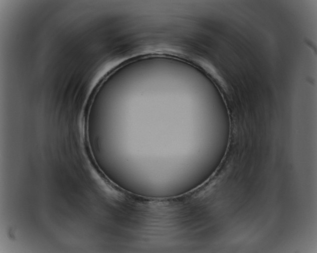 X0000095691032200801081034