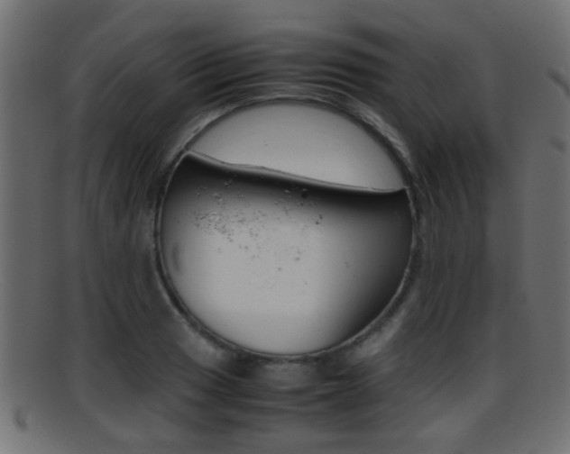 X0000095691033200801081034