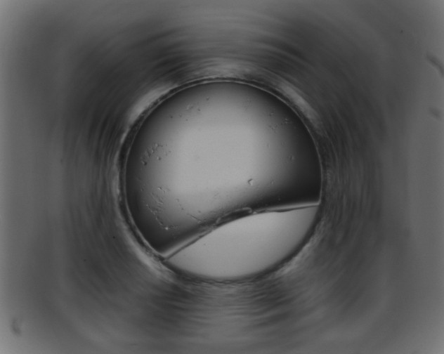 X0000095691034200801081034