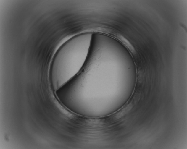 X0000095691036200801081034