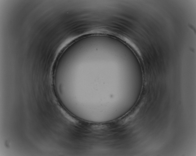 X0000095691037200801081034