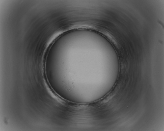 X0000095691038200801081034