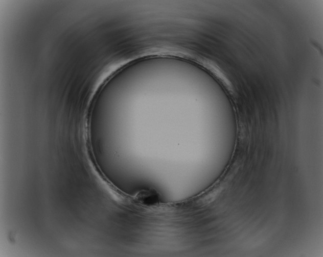 X0000095691040200801081034